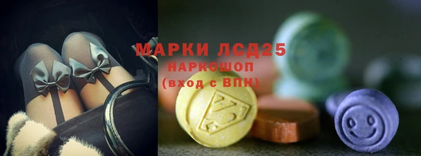 крисы Аркадак