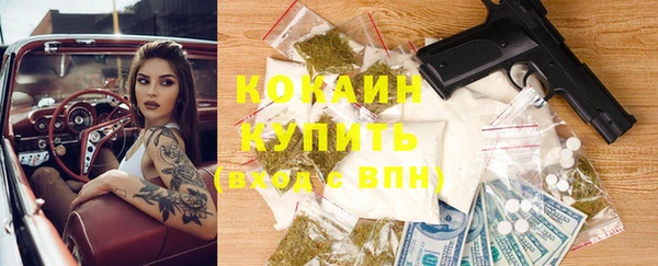 шишки Армянск