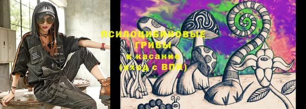 шишки Армянск