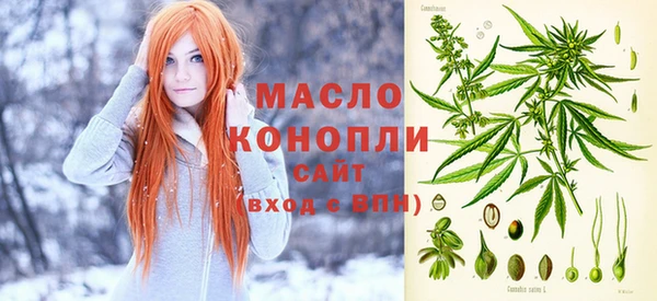 крисы Аркадак