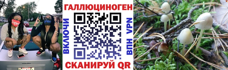 купить закладку  Весьегонск  Псилоцибиновые грибы мицелий 